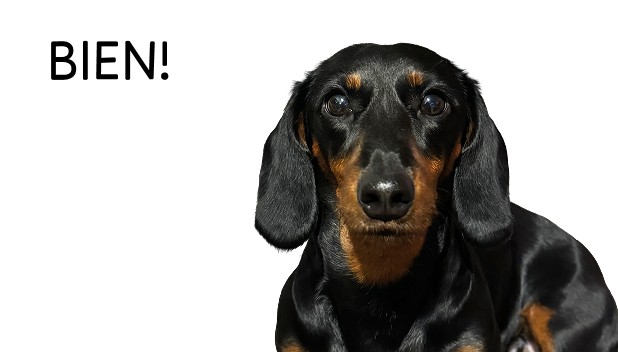 Zaczniesz mówić od razu